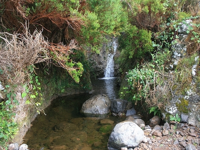 Levada do Paul 2 — Bis zum Ende beim Rabacal-Parkplatz — Foto 4