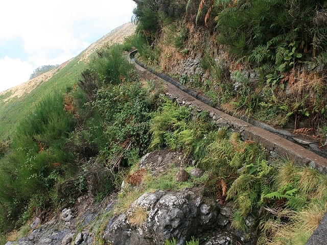 Levada do Paul 2 — Bis zum Ende beim Rabacal-Parkplatz — Foto 5