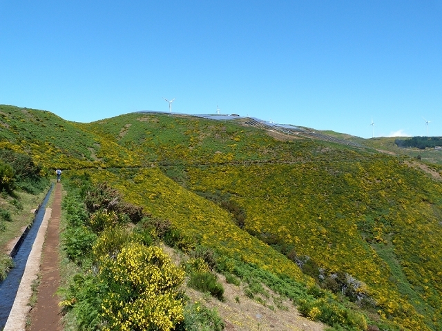 Levada do Paul 2 — Bis zum Ende beim Rabacal-Parkplatz — Foto 9