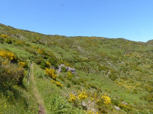Levada do Paul 2 — Von der Madre zur Kreuzung mit der Cascalhopiste — Foto 4