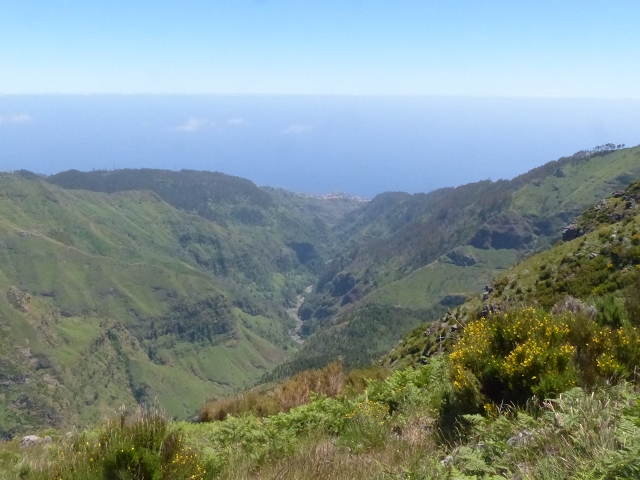 Levada do Paul 2 — Von der Madre zur Kreuzung mit der Cascalhopiste — Foto 5