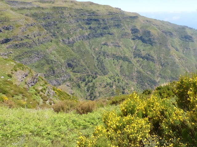 Levada do Paul 2 — Von der Madre zur Kreuzung mit der Cascalhopiste — Foto 6