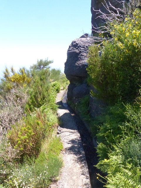 Levada do Paul 2 — Von der Madre zur Kreuzung mit der Cascalhopiste — Foto 7