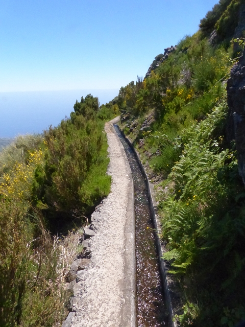 Levada do Paul 2 — Von der Madre zur Kreuzung mit der Cascalhopiste — Foto 8