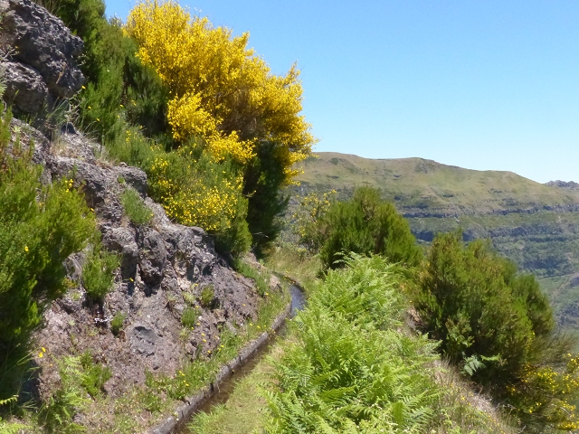 Levada do Paul 2 — Von der Madre zur Kreuzung mit der Cascalhopiste — Foto 9