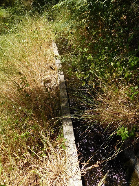 Levada do Pico das Eiroses — On to the Lagoa das Aguas Mansas — photo 2