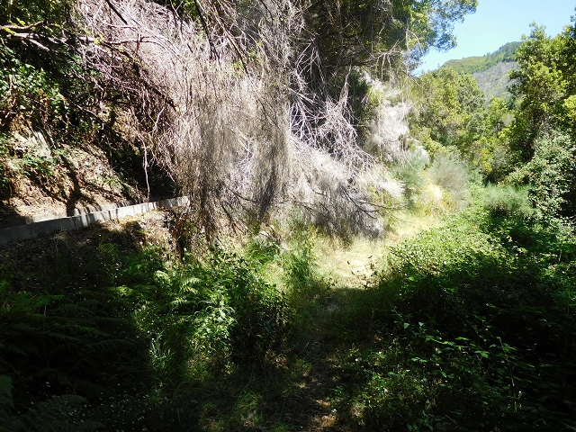 Levada do Pico das Eiroses — On to the Lagoa das Aguas Mansas — photo 3