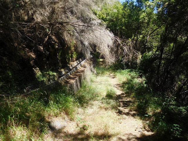 Levada do Pico das Eiroses — On to the Lagoa das Aguas Mansas — photo 4
