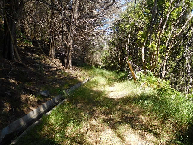 Levada do Pico das Eiroses — On to the Lagoa das Aguas Mansas — photo 5
