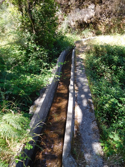 Levada do Pico das Eiroses — On to the Lagoa das Aguas Mansas — photo 7