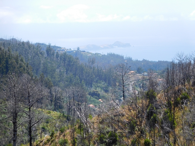 Levada do Pico das Eiroses — On to the Lagoa das Aguas Mansas — photo 10