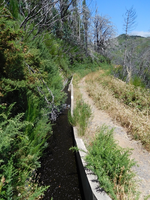 Levada do Pico das Eiroses — On to the Lagoa das Aguas Mansas — photo 13