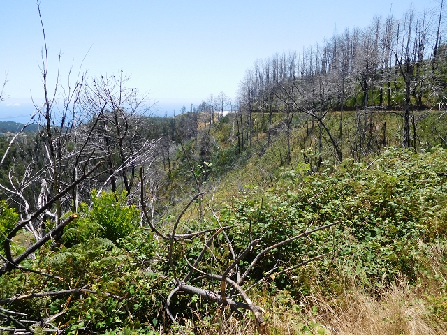 Levada do Pico das Eiroses — On to the Lagoa das Aguas Mansas — photo 16