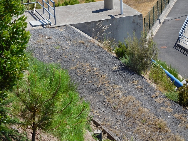 Levada do Pico das Eiroses — On to the Lagoa das Aguas Mansas — photo 19