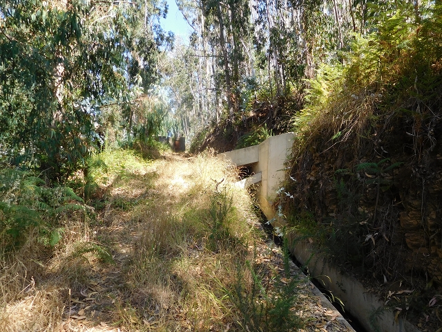 Levada do Pico das Eiroses — Section 2 — photo 6