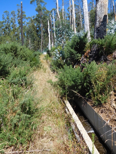 Levada do Pico das Eiroses — Section 2 — photo 7