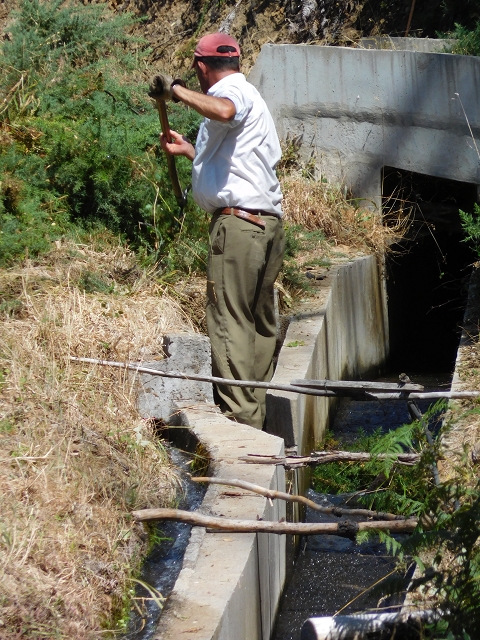 Levada do Pico das Eiroses — Section 2 — photo 8