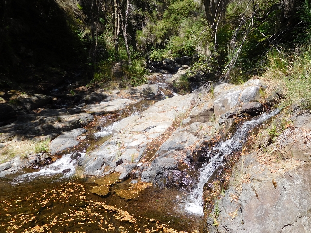 Levada do Pico das Eiroses — Madre — photo 4