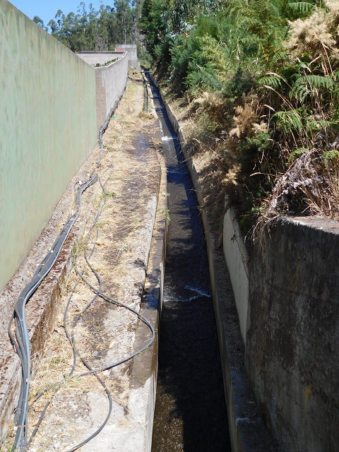Levada do Pico das Eiroses — Section 2 — photo 14