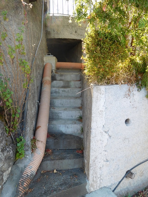 Levada do Pico das Eiroses — Section 2 — photo 15
