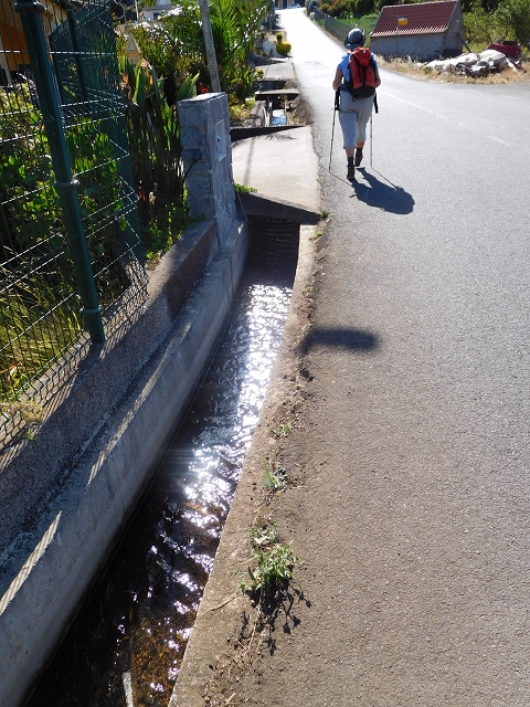 Levada do Pico das Eiroses — Section 3 — photo 3