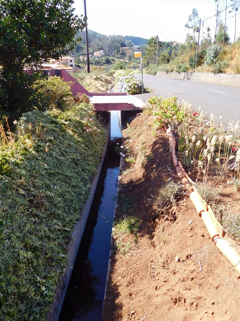 Levada do Pico das Eiroses — Section 3 — photo 5
