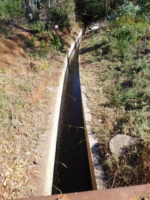 Levada do Pico das Eiroses — Section 3 — photo 7