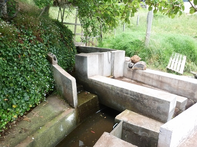 Levada do Pico das Eiroses — Section 4 — photo 3