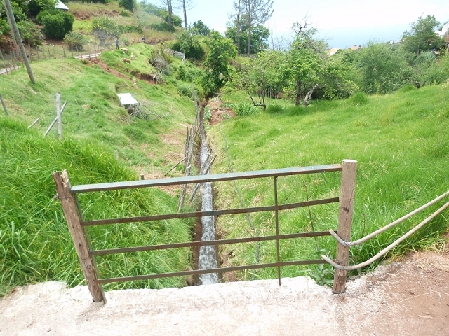 Levada do Pico das Eiroses — Section 4 — photo 4