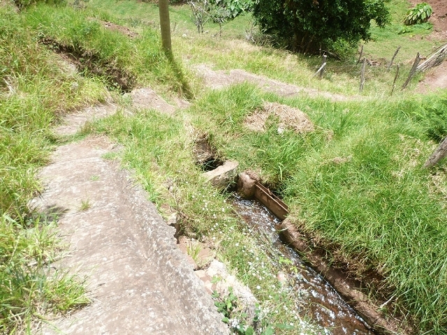 Levada do Pico das Eiroses — Section 4 — photo 5