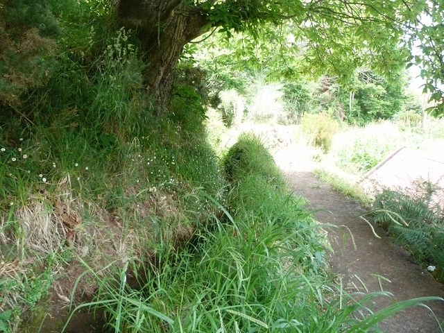 Levada do Pico das Eiroses — Section 4 — photo 6