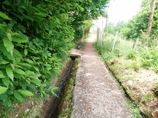 Levada do Pico das Eiroses — Section 4 — photo 7