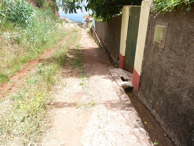 Levada do Pico das Eiroses — Section 4 — photo 8