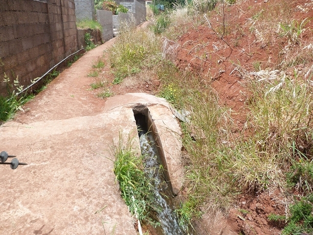 Levada do Pico das Eiroses — Section 4 — photo 9
