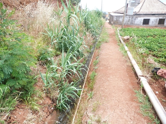 Levada do Pico das Eiroses — Section 4 — photo 10