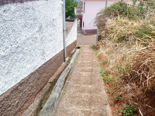 Levada do Pico das Eiroses — Section 4 — photo 11