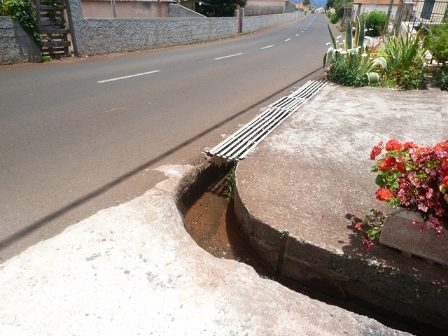 Levada do Pico das Eiroses — Section 4 — photo 13
