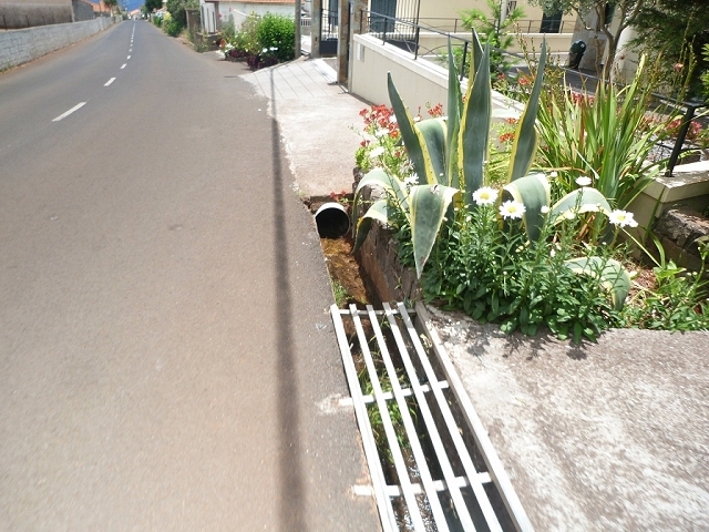 Levada do Pico das Eiroses — Section 4 — photo 14