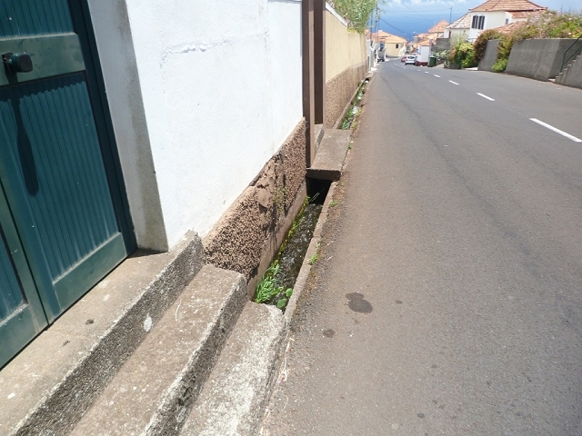 Levada do Pico das Eiroses — Section 4 — photo 15