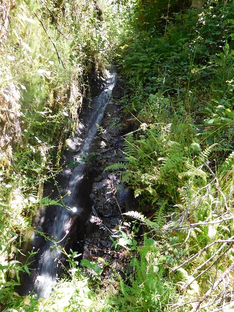 Levada do Pico das Eiroses — Small feeder levada — photo 2