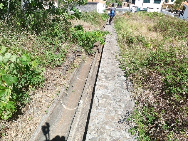 Levada do Pico das Eiroses — Section 4 — photo 22