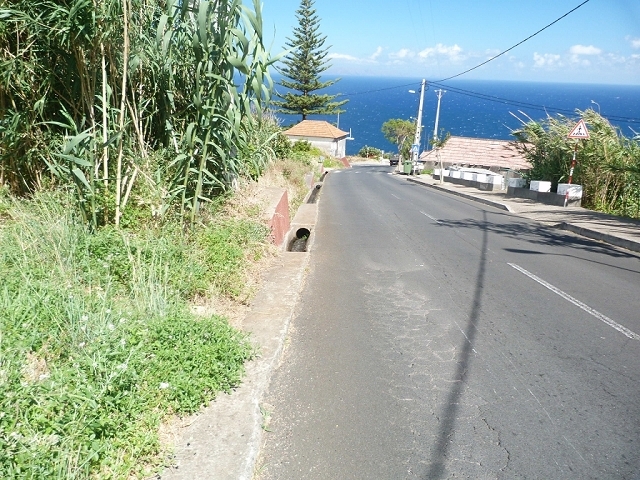 Levada do Pico das Eiroses — Section 4 — photo 24