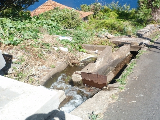 Levada do Pico das Eiroses — Section 4 — photo 25