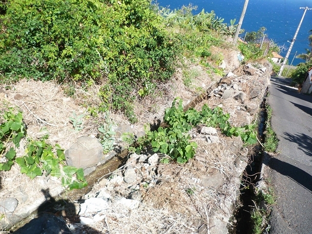 Levada do Pico das Eiroses — Section 4 — photo 26