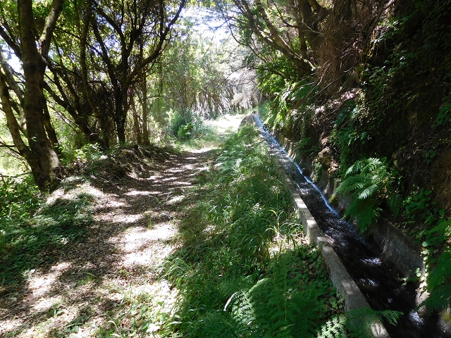 Levada do Pico das Eiroses — On to the Lagoa das Aguas Mansas — photo 1