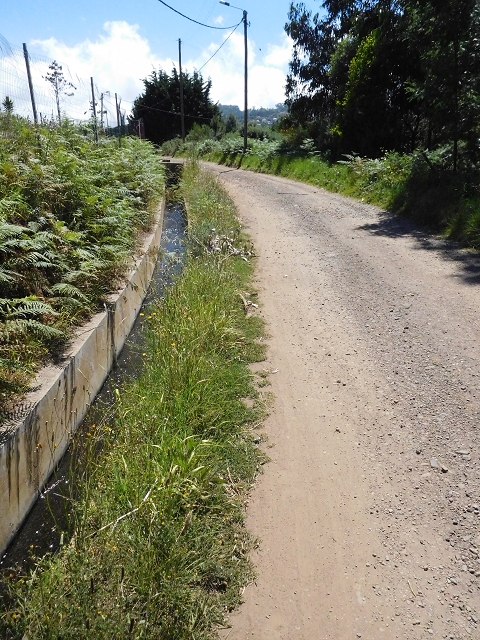 Levada do Pico das Eiroses — Section 3 — photo 8