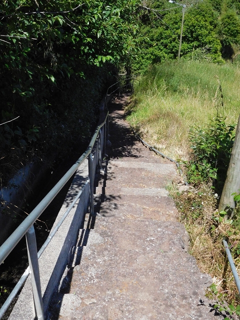 Levada do Pico das Eiroses — Section 3 — photo 12