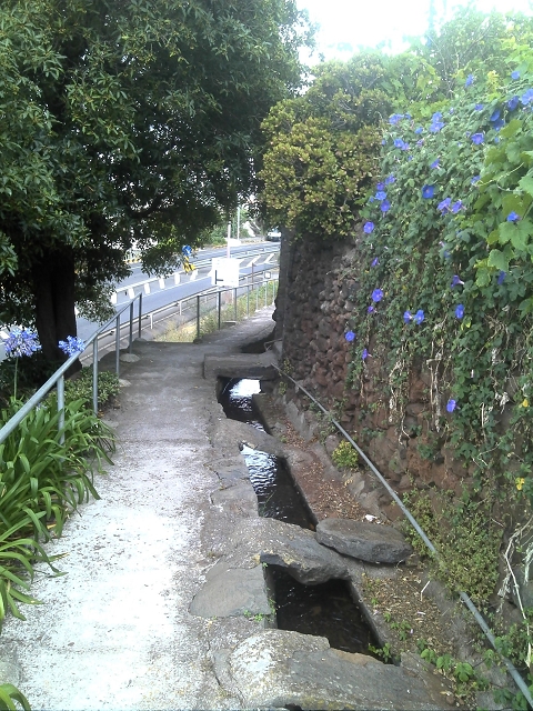 Levada do Pico do Arvoredo — Aktueller Verlauf der Levada da Azenha — Foto 26