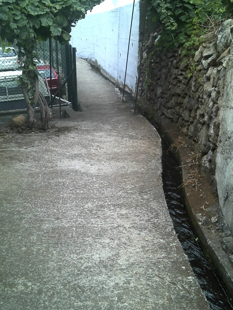 Levada do Pico do Arvoredo — Aktueller Verlauf der Levada da Azenha — Foto 34