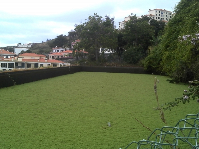 Levada do Pico do Arvoredo — Aktueller Verlauf der Levada da Azenha — Foto 36